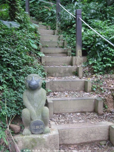 DSCF9652