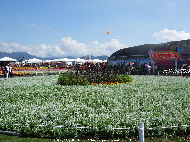DSCF9736