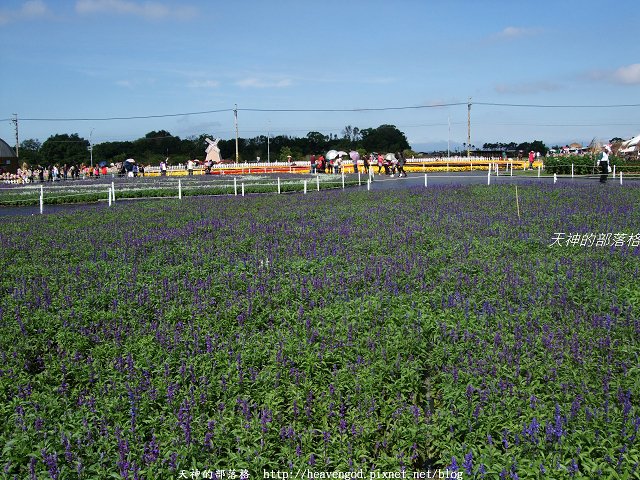 DSCF9737