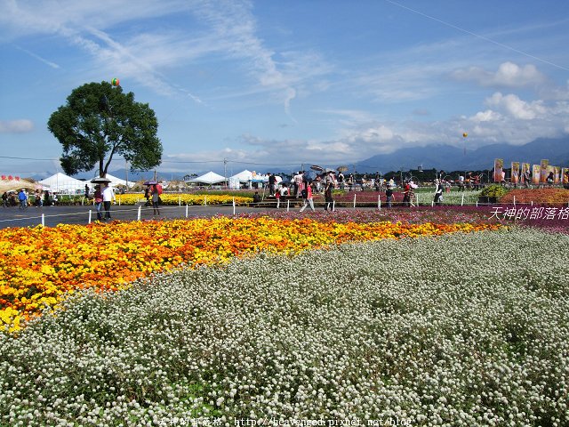 DSCF9739
