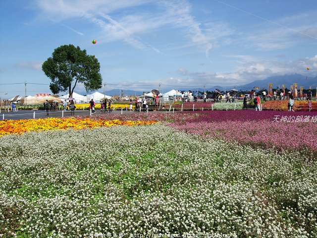 DSCF9740