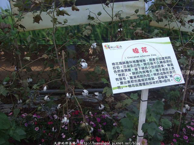 DSCF9746