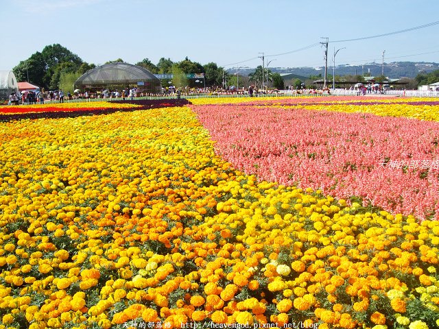 DSCF9751