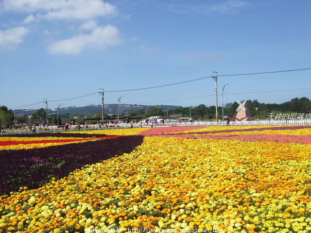 DSCF9753