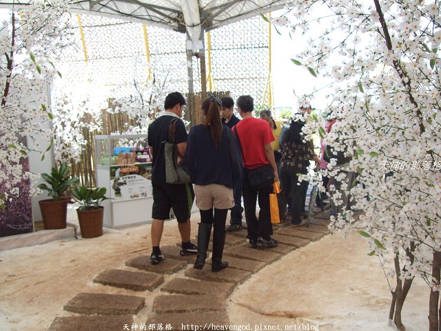 DSCF9763