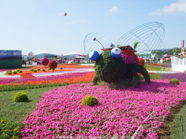 DSCF9792