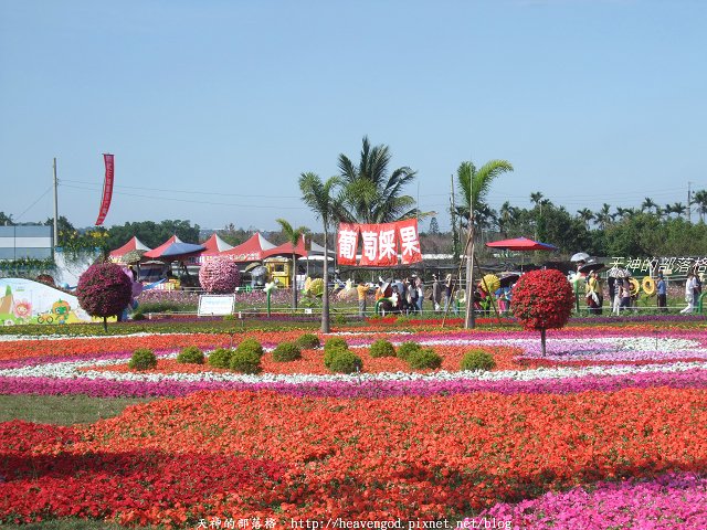 DSCF9793