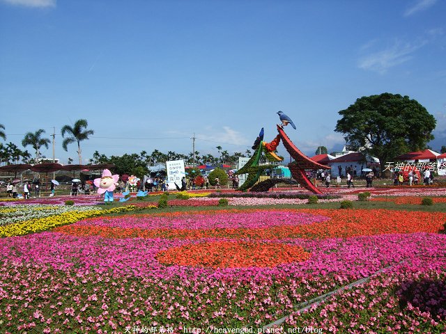 DSCF9796