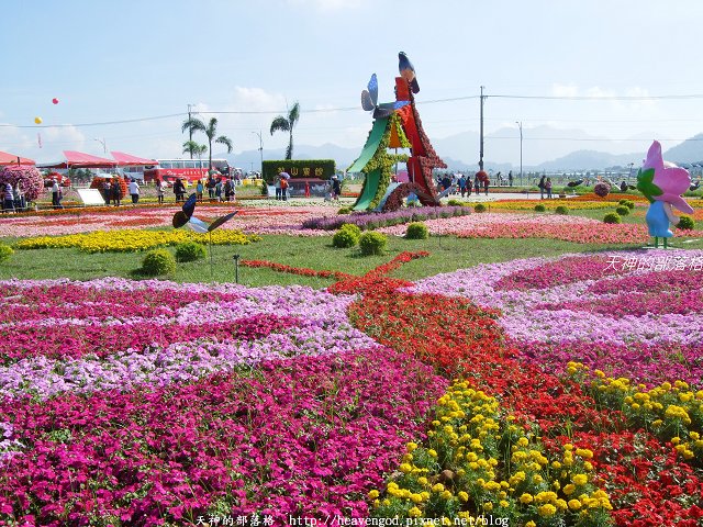 DSCF9797