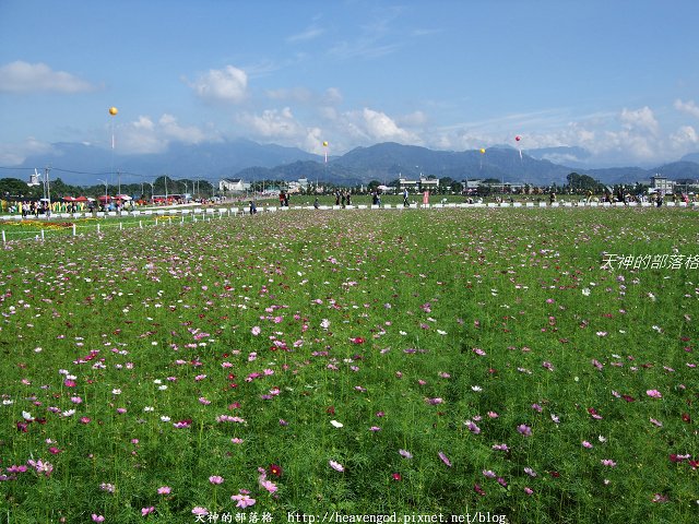 DSCF9802