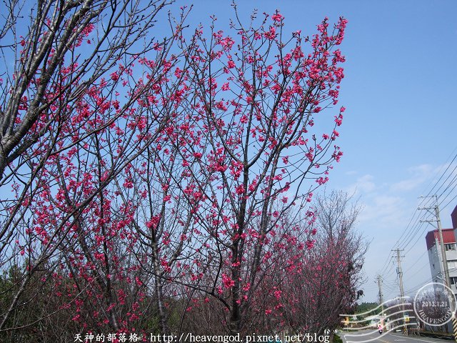 DSCF0249