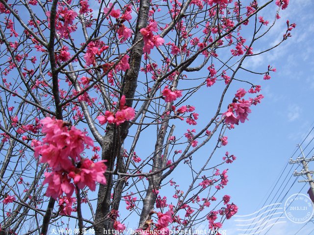 DSCF0250