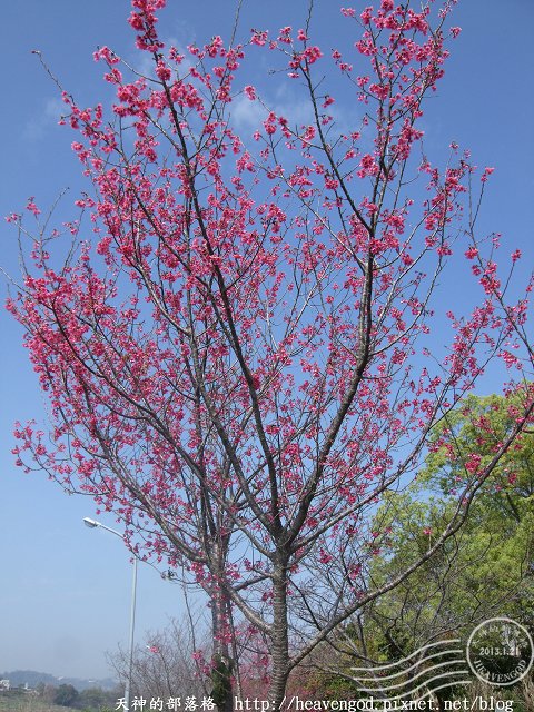 DSCF0254
