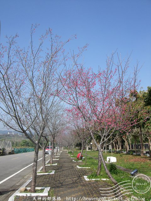 DSCF0255