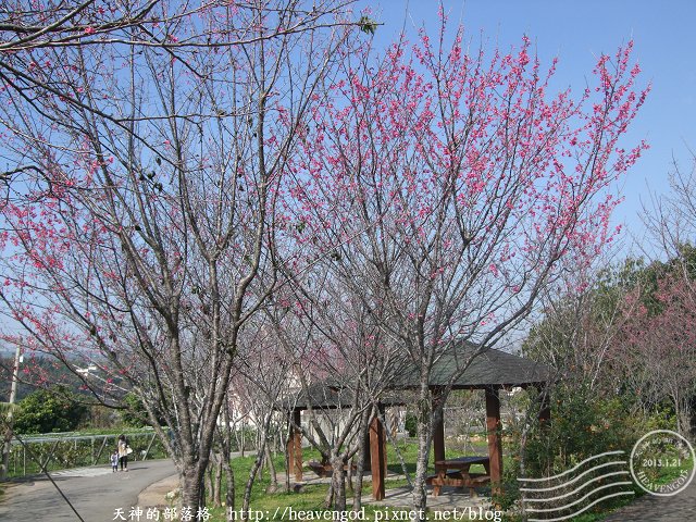 DSCF0256