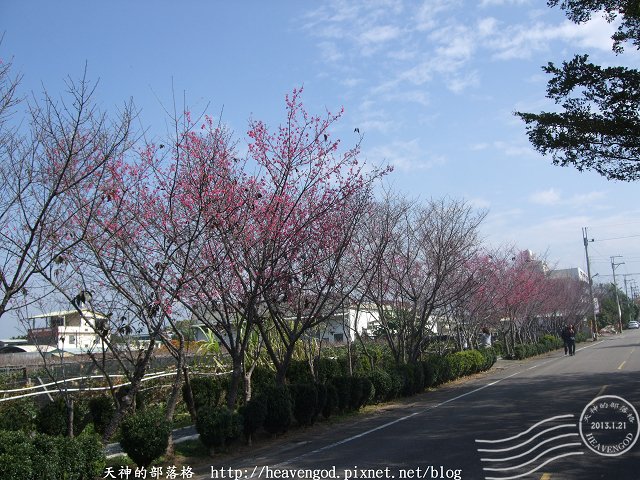 DSCF0259