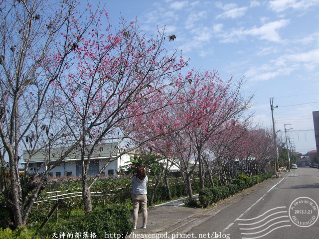 DSCF0260