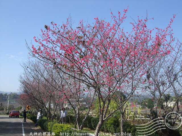 DSCF0263