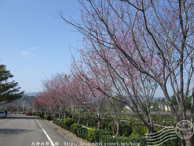 DSCF0265