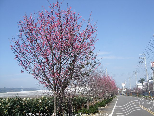 DSCF0270