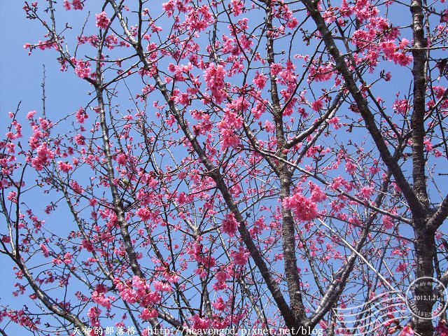 DSCF0271