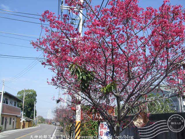 DSCF0273