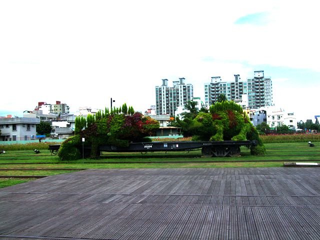 DSCF2976