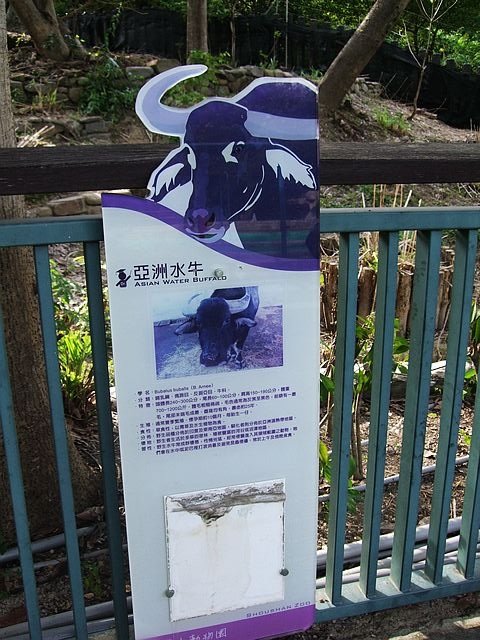 DSCF3003