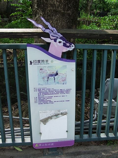 DSCF3004