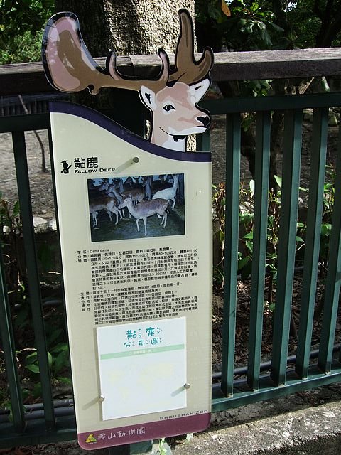 DSCF3007
