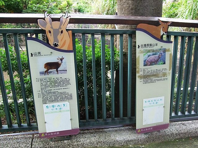 DSCF3024