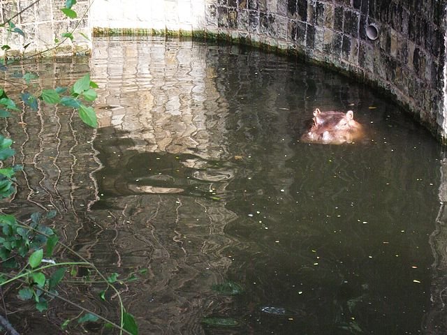 DSCF3026