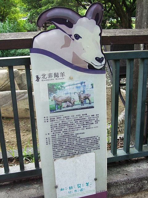 DSCF3029