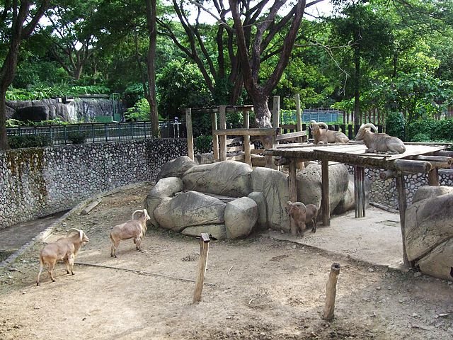 DSCF3030