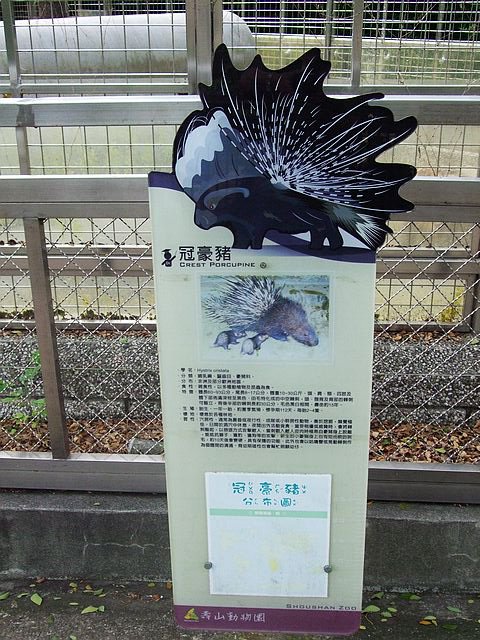 DSCF3031