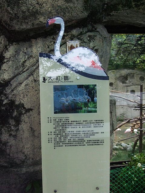 DSCF3049