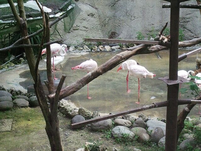DSCF3048
