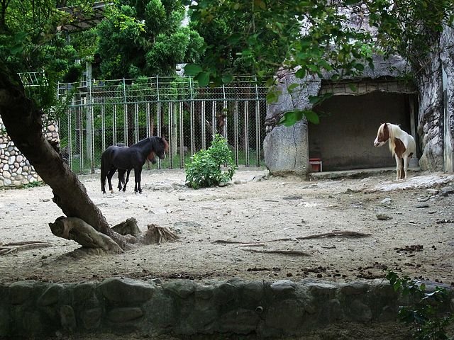 DSCF3052