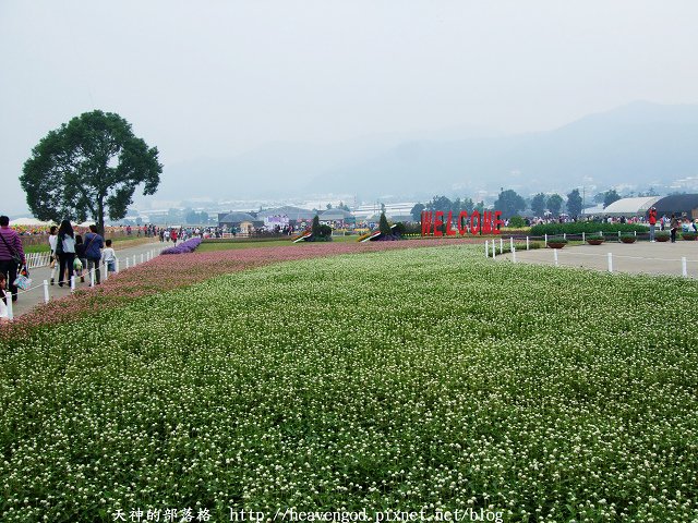 DSCF5130.jpg