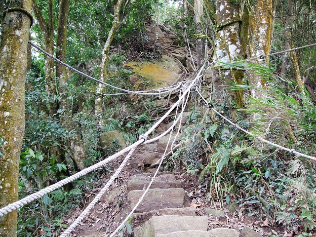 DSCF5474.jpg