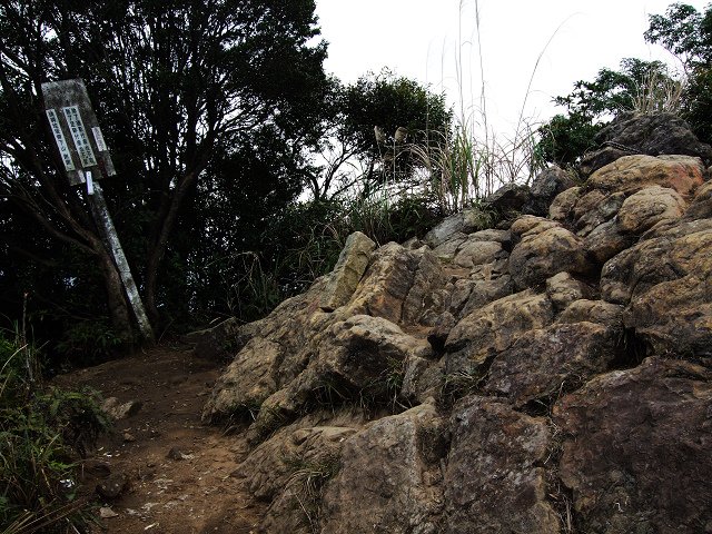 DSCF5485.jpg