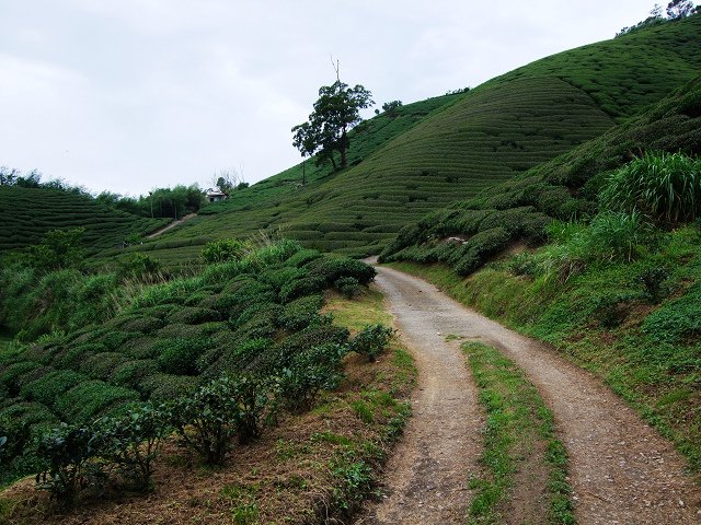 DSCF5966.jpg