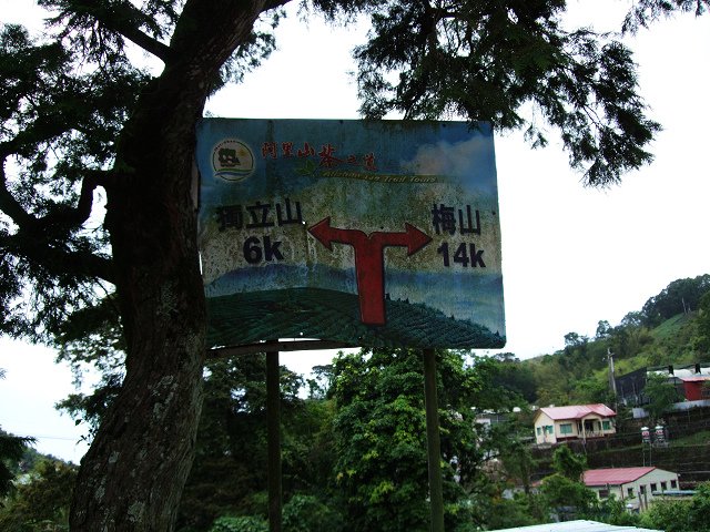 DSCF5986.jpg