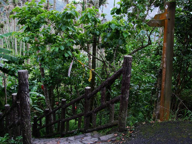 DSCF5994.jpg