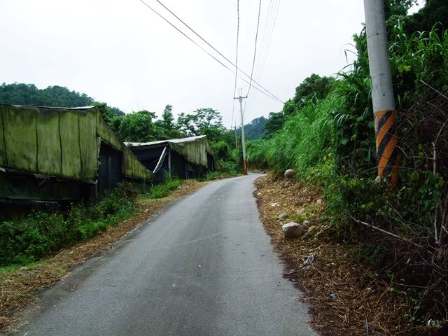 DSCF6105.jpg