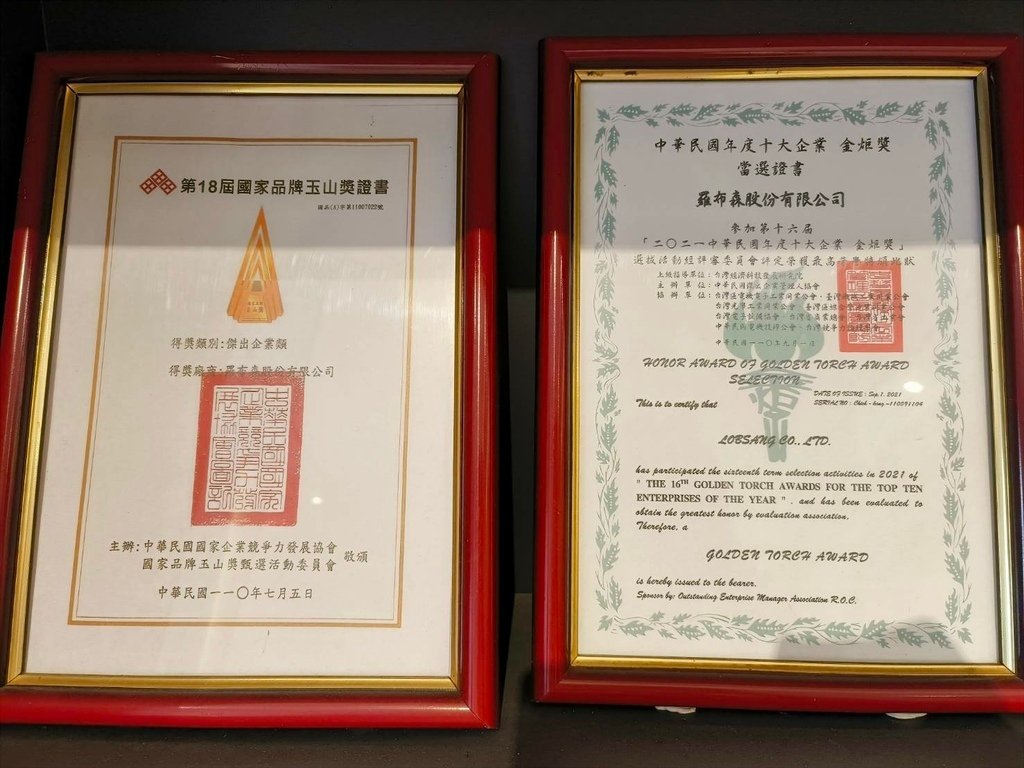 羅布森樓梯升降椅│樓梯升降椅第一品牌│MIT精品│推薦上下樓