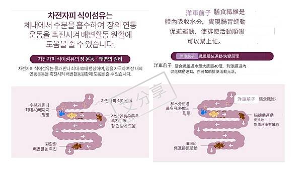 投影片6.JPG