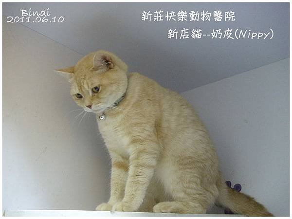 憂鬱貌