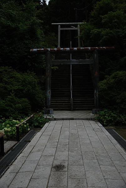 DSC_9698.JPG