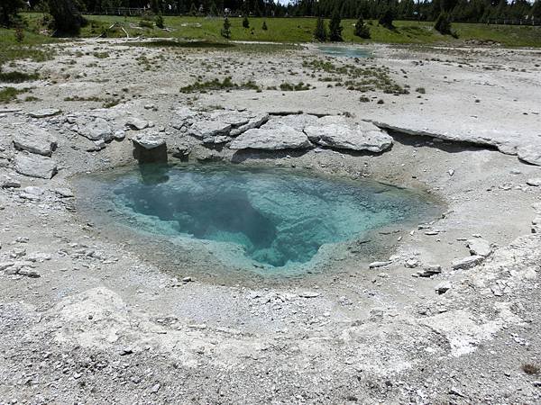 geyser at West Thumb Basin